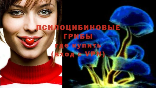 стафф Волосово