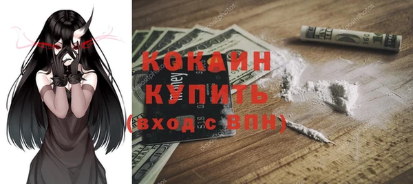 тгк Верея