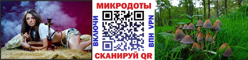 Псилоцибиновые грибы мицелий  Дербент 
